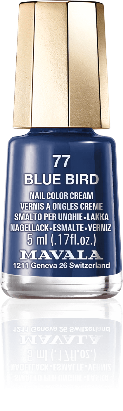 Blue Bird — Caz kulüplerinin sakin atmosferinden ilham alan bir gece mavisi