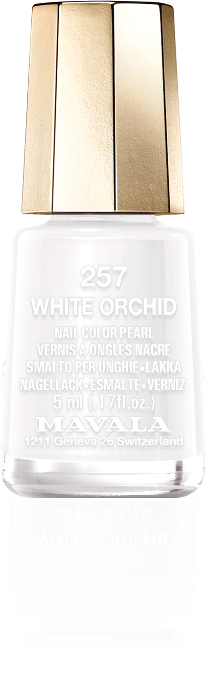 White Orchid — Incelikli ve saf beyaz