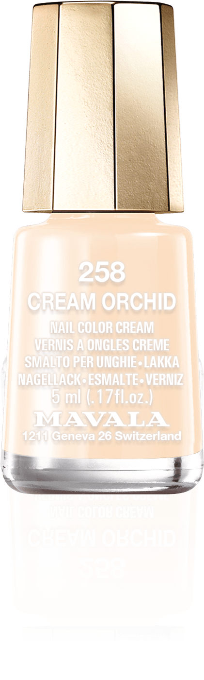 Cream Orchid — An elegant ivory beige