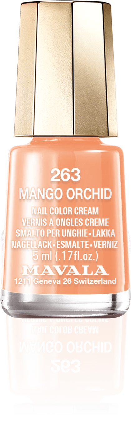 Mango Orchid — A delicate tangerine 